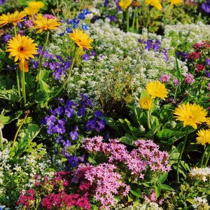 PERSÖNLICHKEITSENTWICKLUNG IST WIE (D)EIN GARTEN.