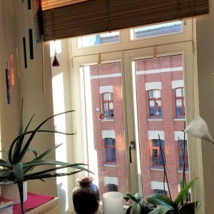 Mit der PUTZFEE ESSENZ strahlt alles!