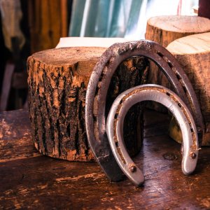 VOM GLÜCK ODER UNGLÜCK - EINE FABEL AUS TIBET